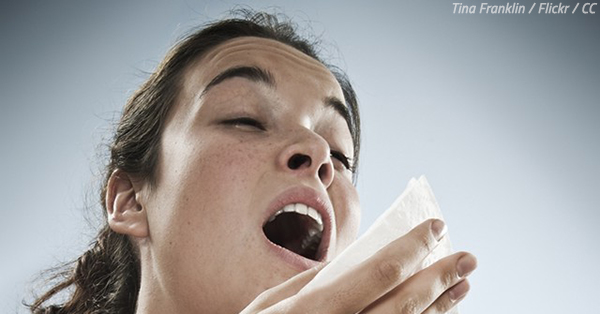 What to Do About Allergies After Moving
