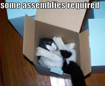 Assembly cat