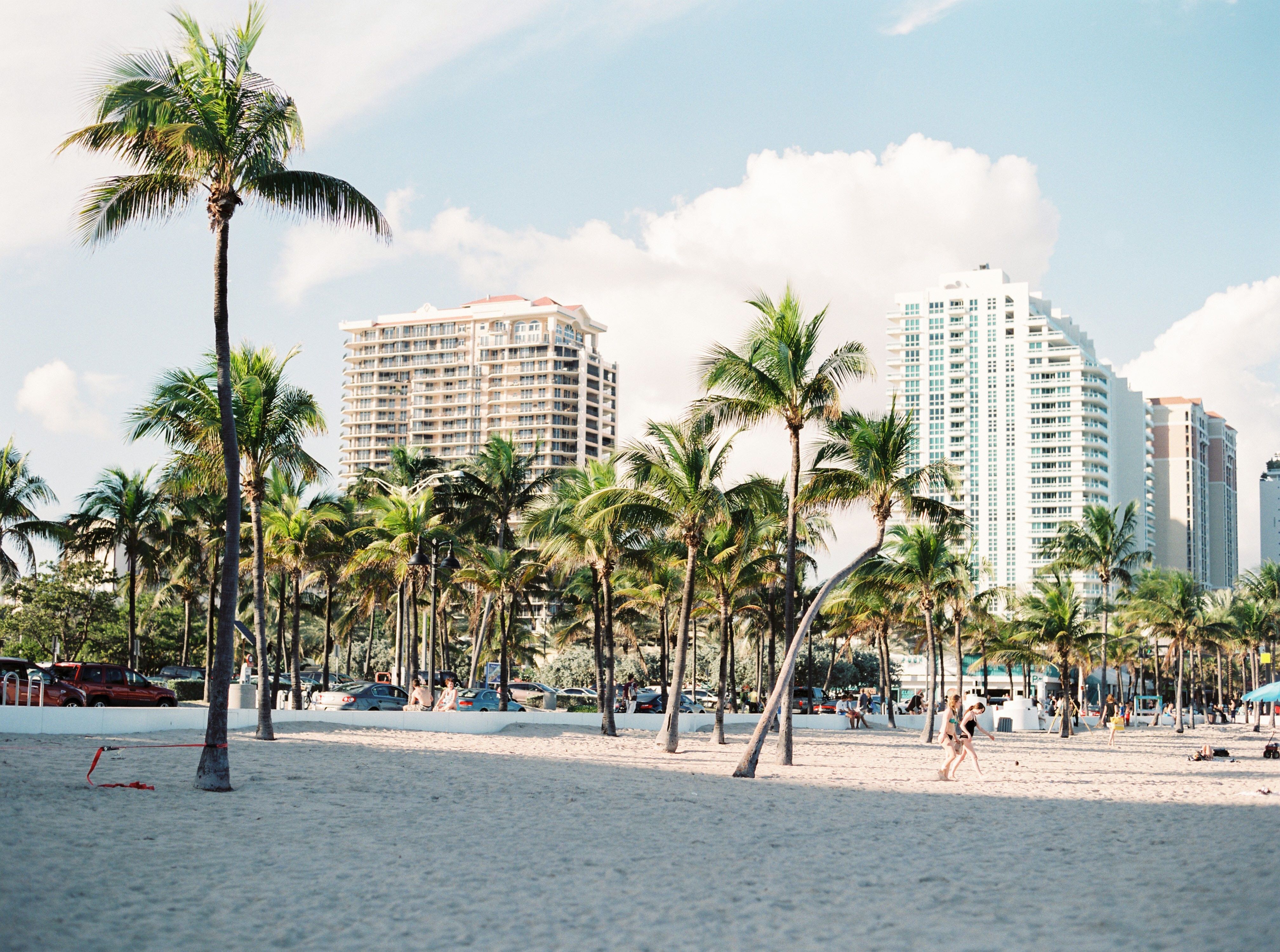 Infographic: Where are new Miami residents moving from? Bellhop Blog