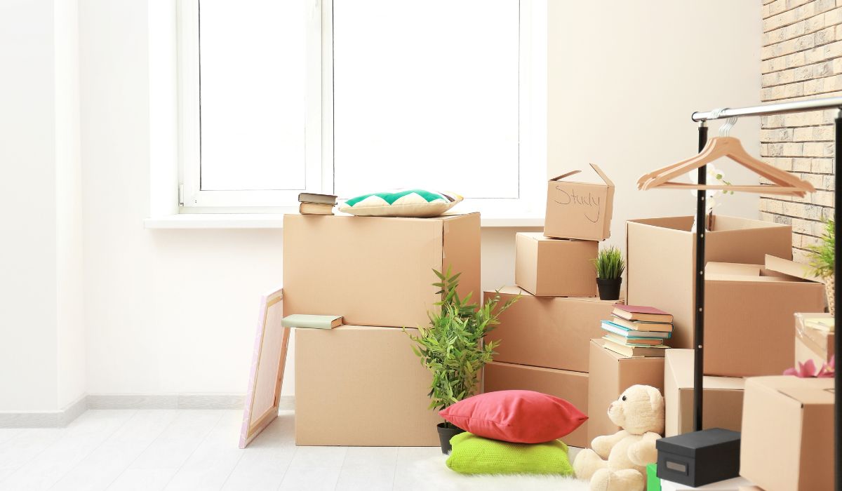 boxes post move