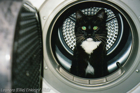 How to move a washing machine easily