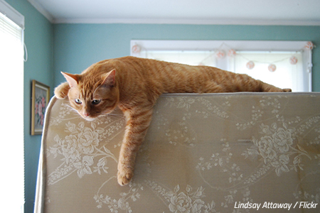 How to move a mattress alone
