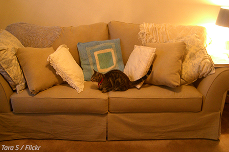 Tips for moving a couch