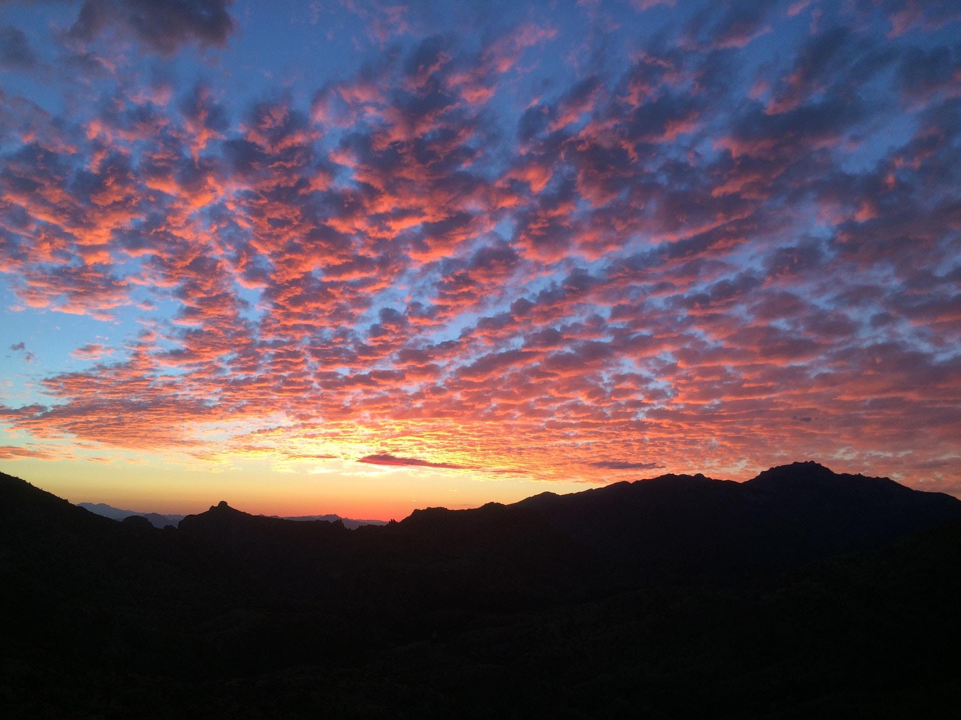 The Best Suburbs of Tucson (A 2022 Guide) Bellhop Blog