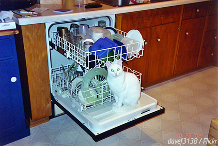 The best way to move a dishwasher