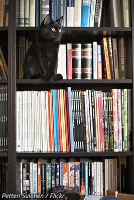 How to pack books quickly and efficiently