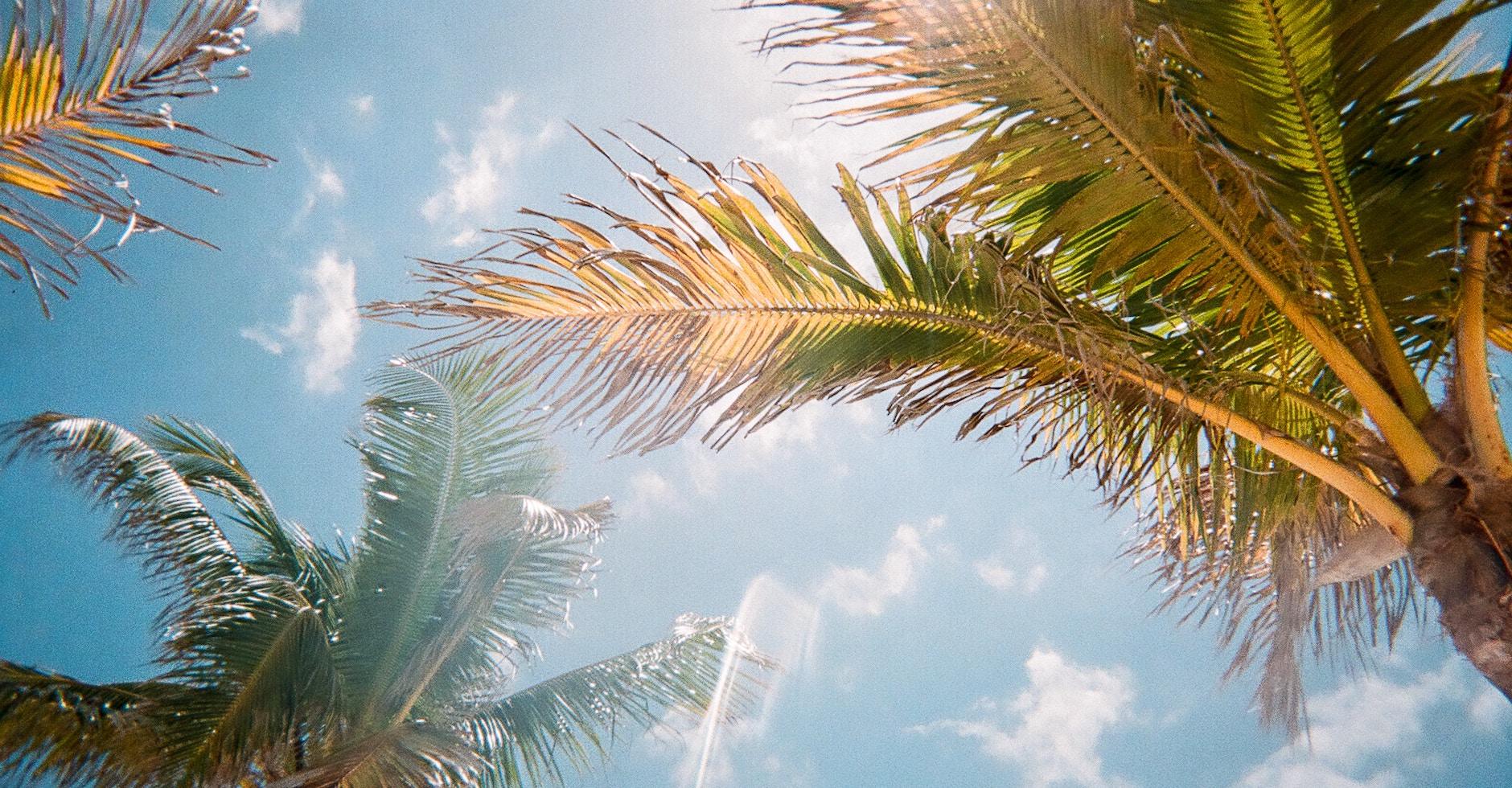 THE Best Places to Live in Florida (2022) Bellhop Blog
