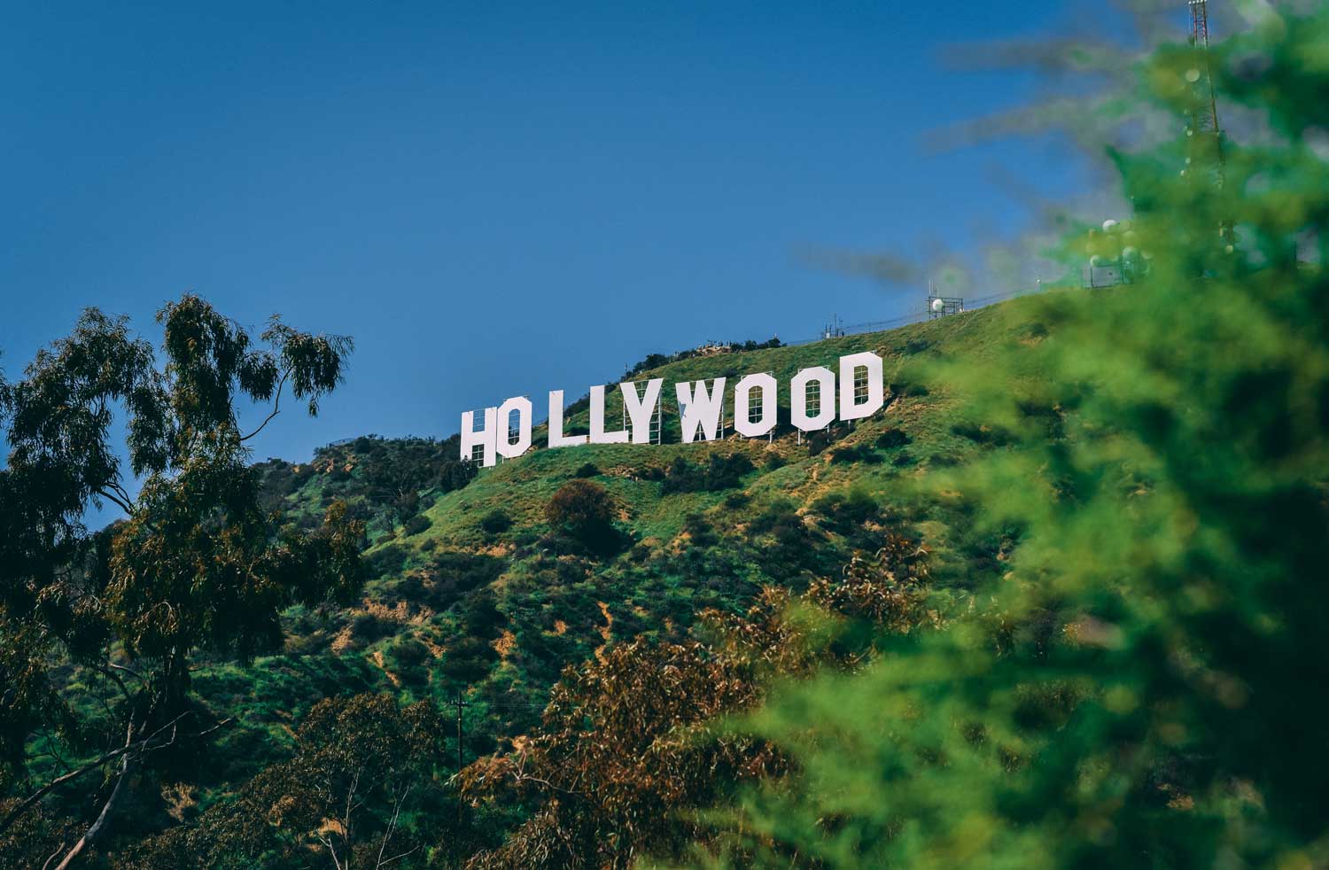 los angeles local movers