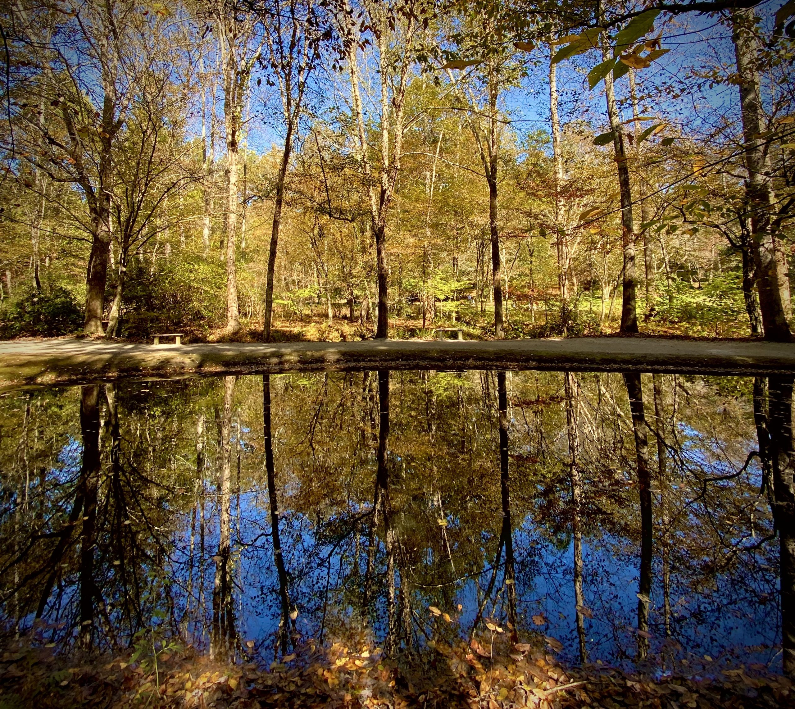 Best Neighborhoods in Marietta Bellhop Blog