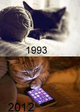 Modern kitty