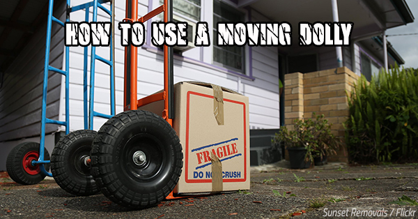 How to Use a Moving Dolly: Furniture Dolly vs. Appliance Dolly