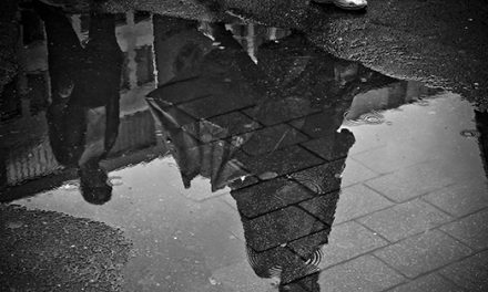 Moving in the Rain: Don’t Let Rain Ruin Your Move