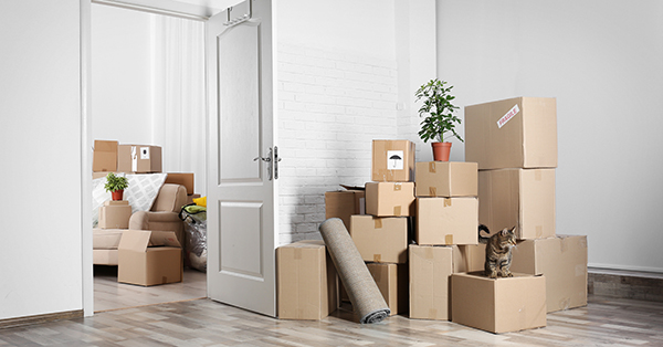 Moving Into an Apartment for the First Time: Checklist and Tips
