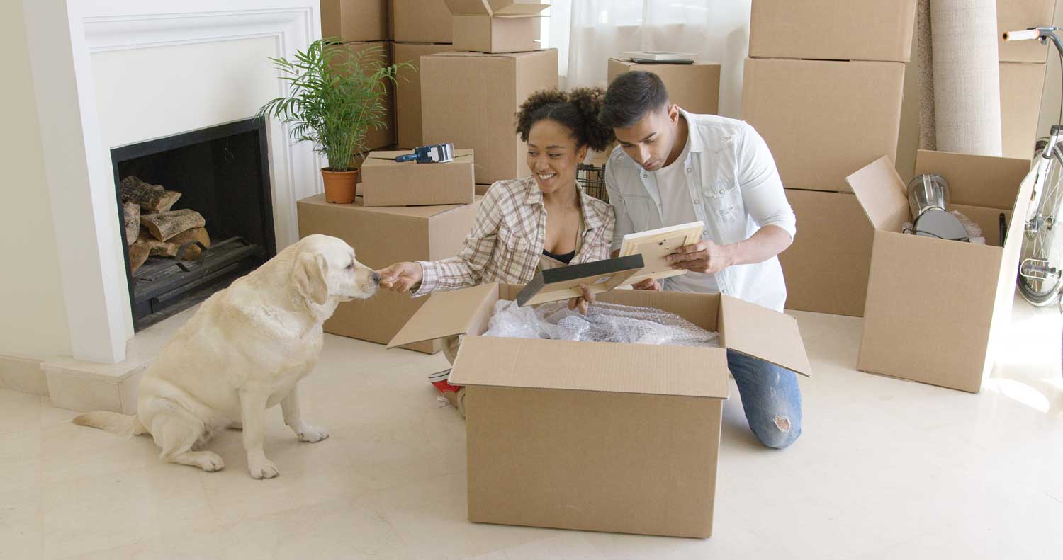 moving long distance with dogs
