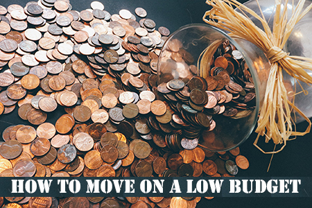 Moving out on a budget