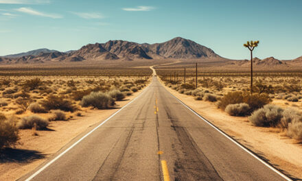 Top 10 Most Popular Moving Routes in the Country – California Is the Originating State of Five of Them