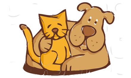 Tips for Moving with Pets Across Country