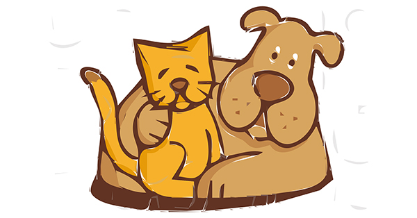 Tips for Moving with Pets Across Country