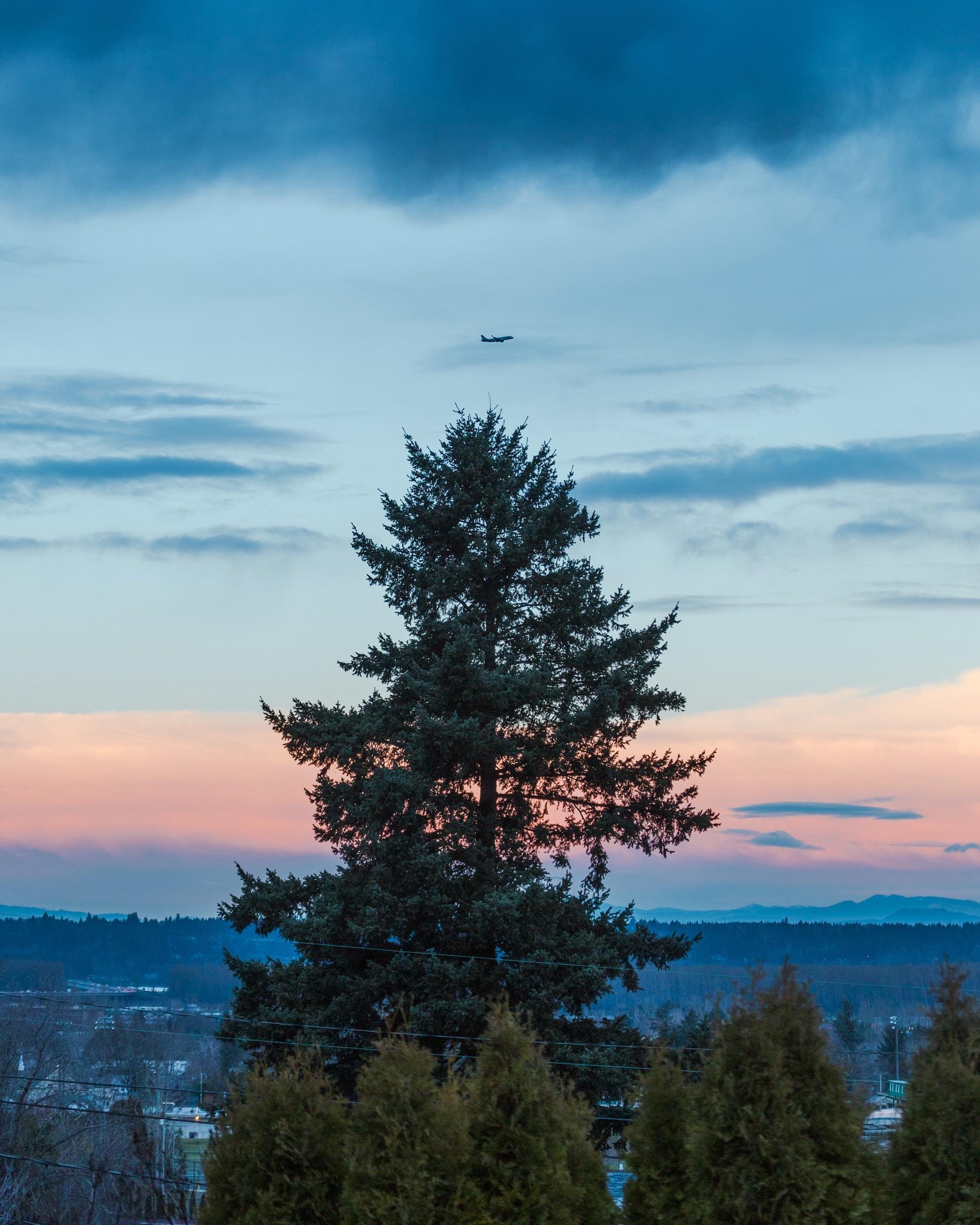 The Best Places to Live in Oregon (A 2022 Guide) Bellhop Blog