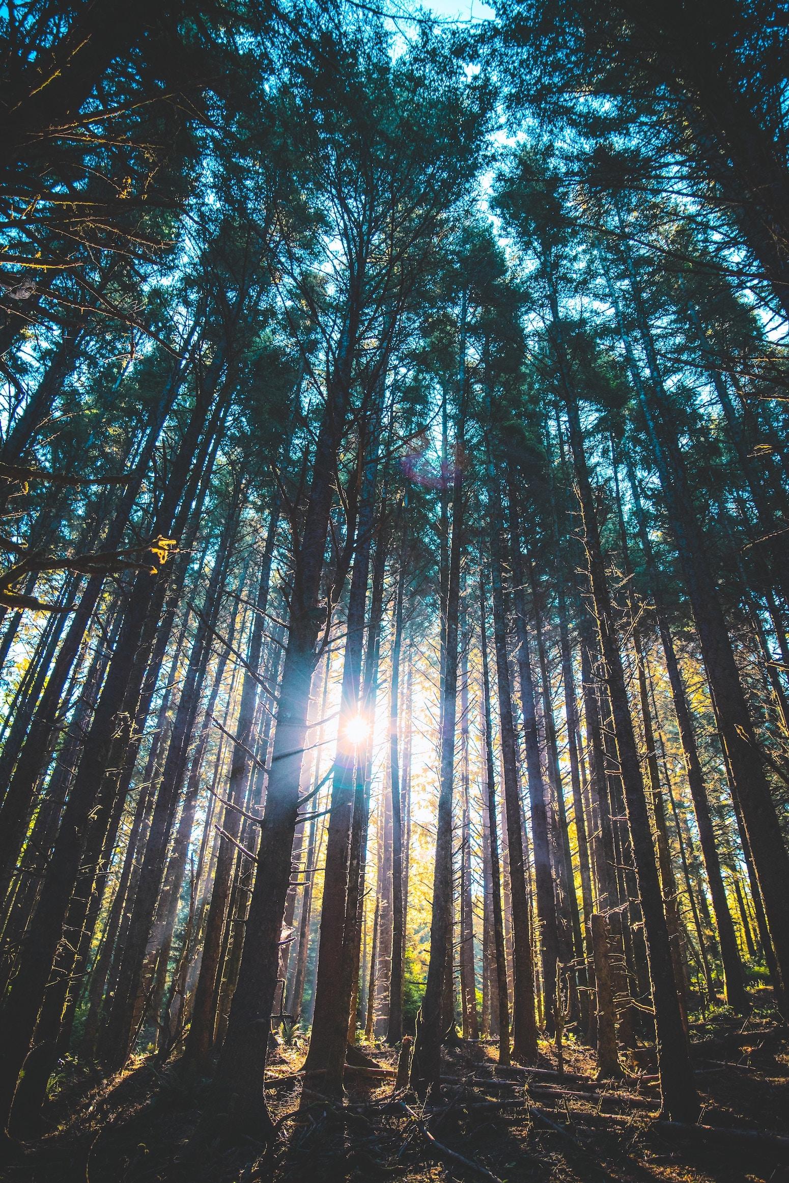 The Best Places to Live in Oregon (A 2022 Guide) Bellhop Blog
