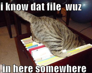 Organized kitty