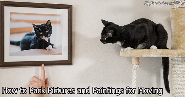 Picture This: How to Pack Pictures and Paintings for Moving