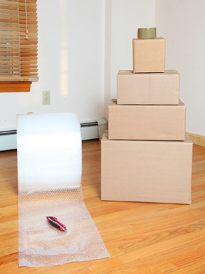 Moving out of home budget