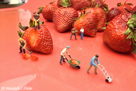 List of non-allowables: perishables