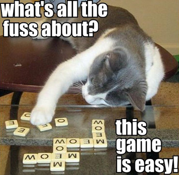 Playing kitty