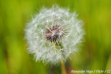 How to cope with allergies after moving