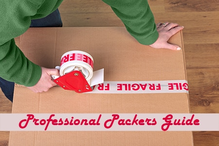 Professional packers and movers