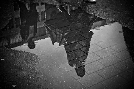 Moving house in the rain