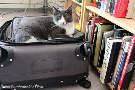 The best packing tricks