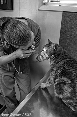 Medical checkup