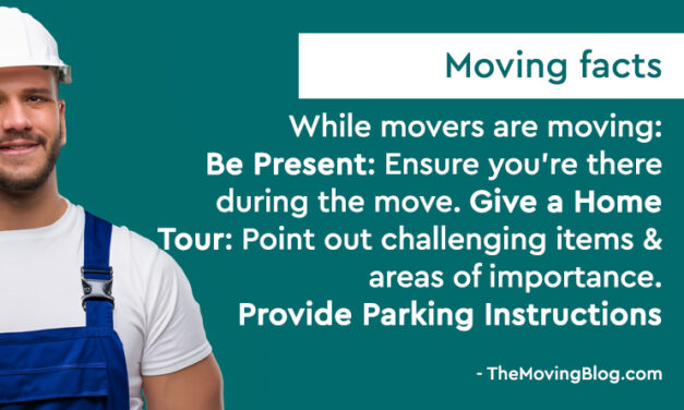 What to do while movers are moving and packing