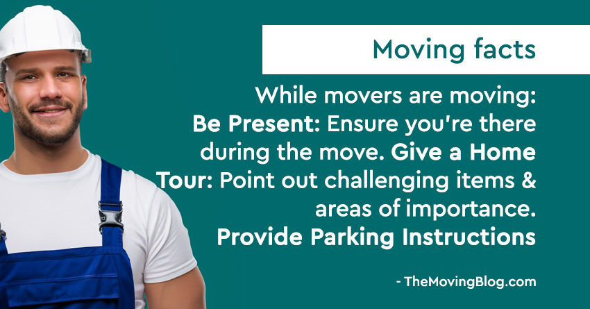 What to do while movers are moving and packing