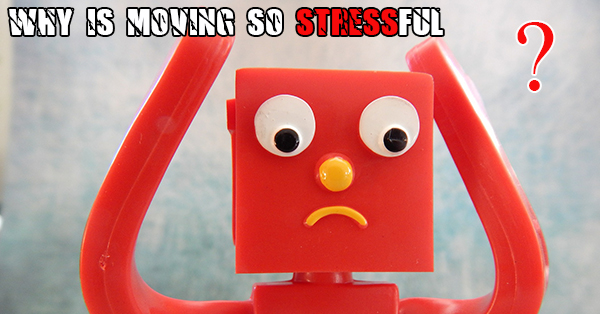 Why Is Moving So Stressful? 10 Reasons Why Moving Stress Is a Real Thing