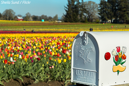 How to change address when moving